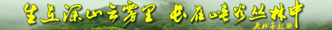 �{�ȴ���